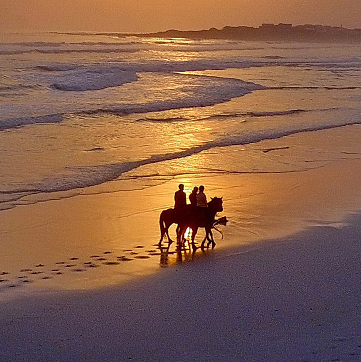 Pearly Beach Horse Trails