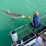 Gansbaai B&B, Walker Bay accommodation, best guesthouse in Gansbaai, whale watching in Gansbaai