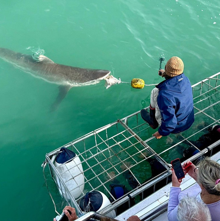 Gansbaai B&B, Walker Bay accommodation, best guesthouse in Gansbaai, whale watching in Gansbaai