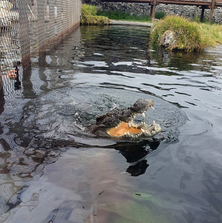Afrikanos Restaurant and Crocodile Diving