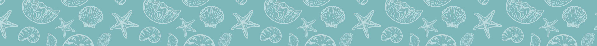 Gansbaai B&B, Walker Bay accommodation, best guesthouse in Gansbaai, whale watching in Gansbaai